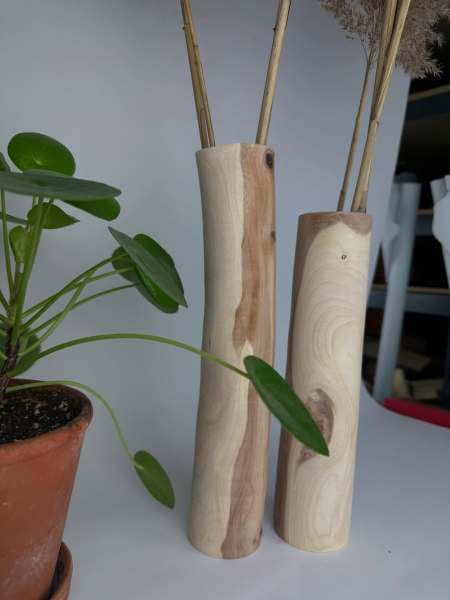Elm Weed Pots! Fun  to watch these tube vases, turned board straight, shift and twist within days. Nature is amazing